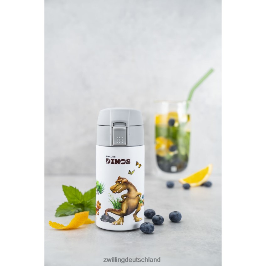 Küche Zwilling Dinos Dinos Trinkflasche, 350 ml, Edelstahl, weiß-grau 484N62534 - Zwilling Besteck