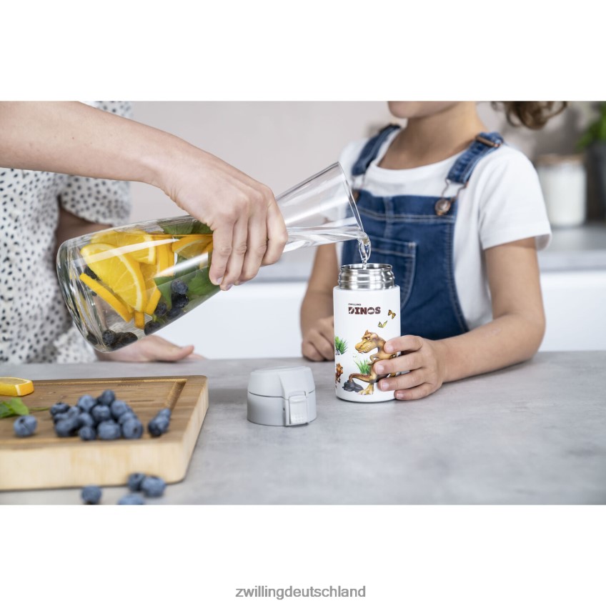 Küche Zwilling Dinos Dinos Trinkflasche, 350 ml, Edelstahl, weiß-grau 484N62534 - Zwilling Besteck