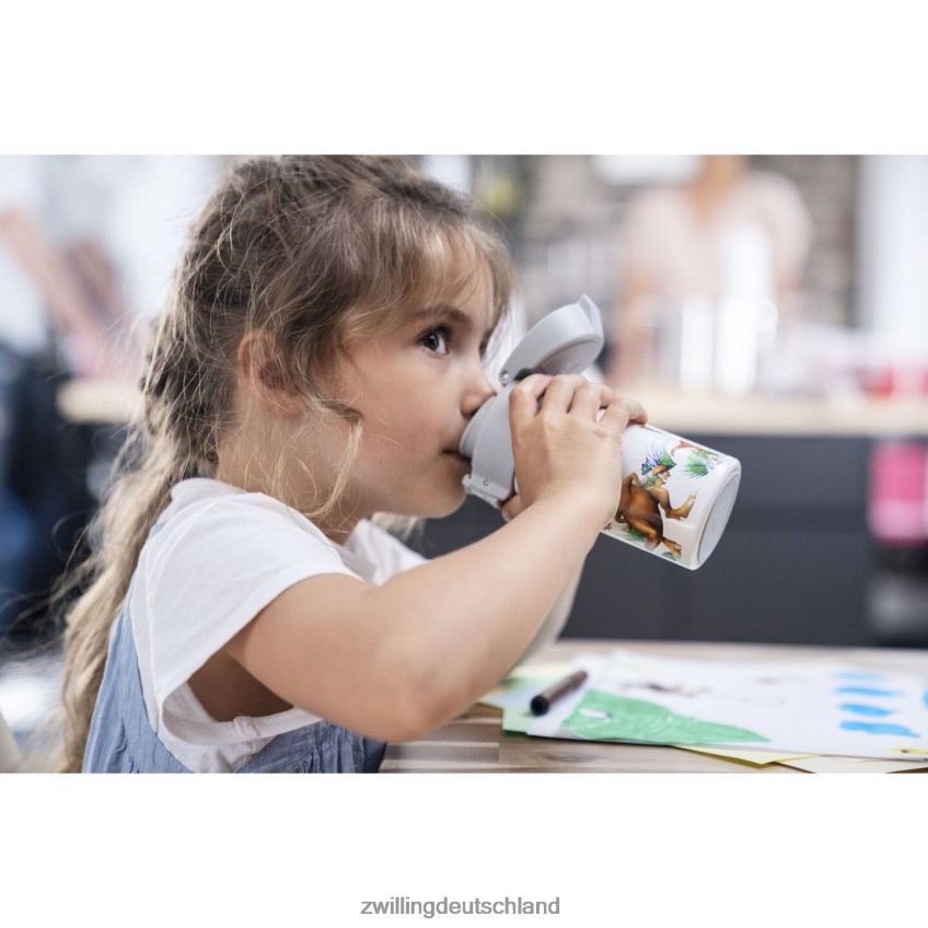 Küche Zwilling Dinos Dinos Trinkflasche, 350 ml, Edelstahl, weiß-grau 484N62534 - Zwilling Besteck