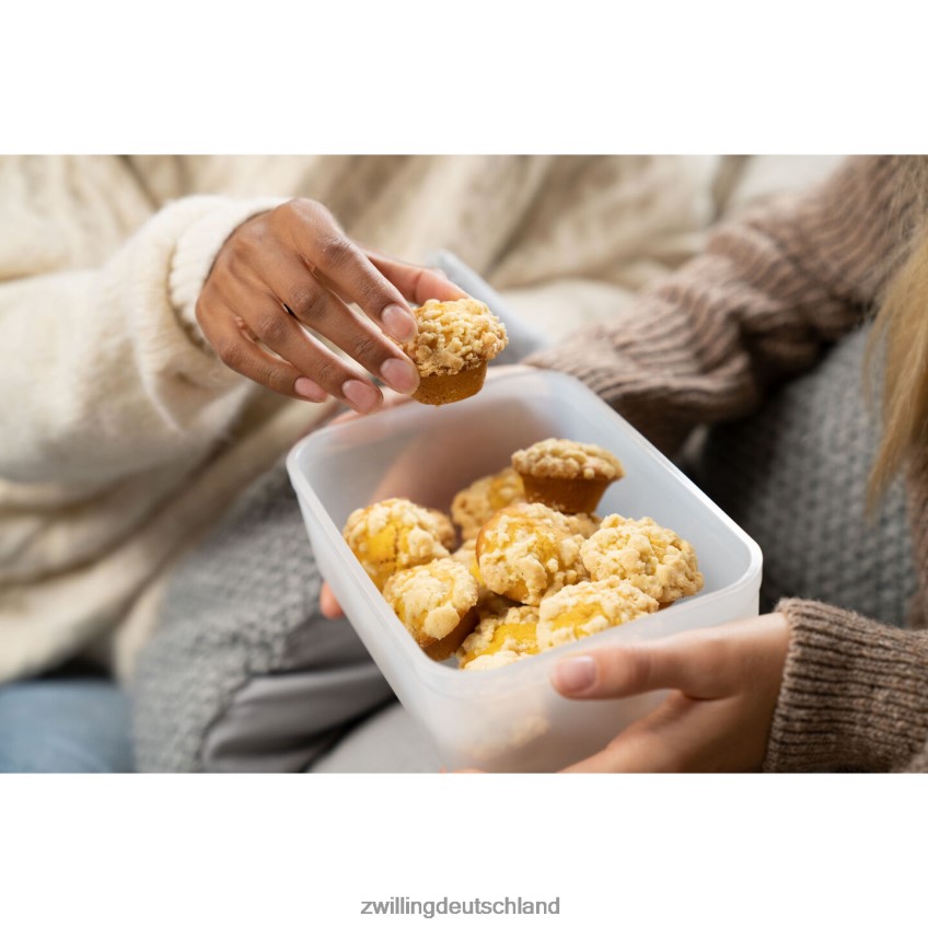 Küche Zwilling Fresh & Save Vakuum-Kühlbehälter, Kunststoff, halbtransparent-grau 484N62486 - Zwilling Besteck