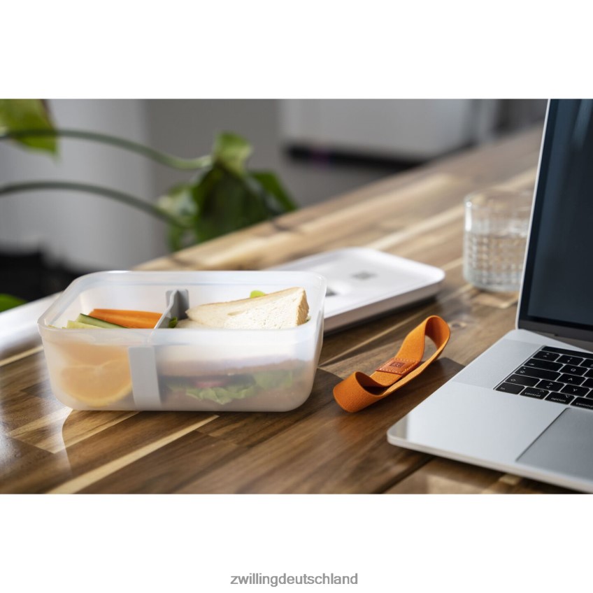 Küche Zwilling fresh & save l Vakuum-Brotdose, Kunststoff, halbtransparent-grau 484N62493 - Zwilling Deutschland
